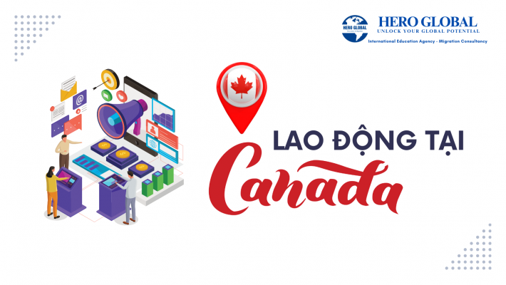 Sinh viên quốc tế có cơ hội lao động tại Canada sau khi tốt nghiệp