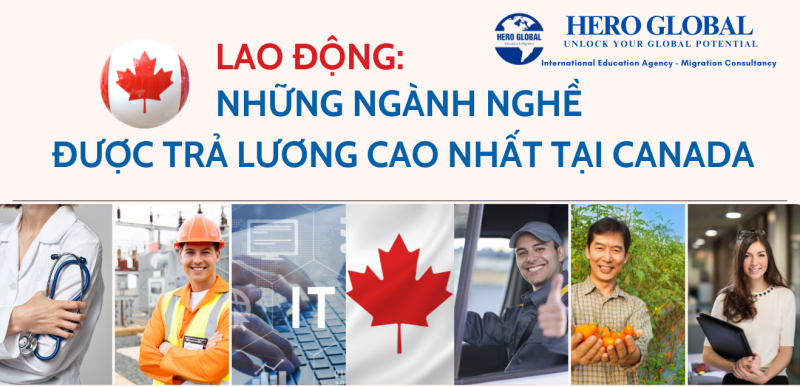 Những ngành nghề được trả lương cao nhất tại Canada